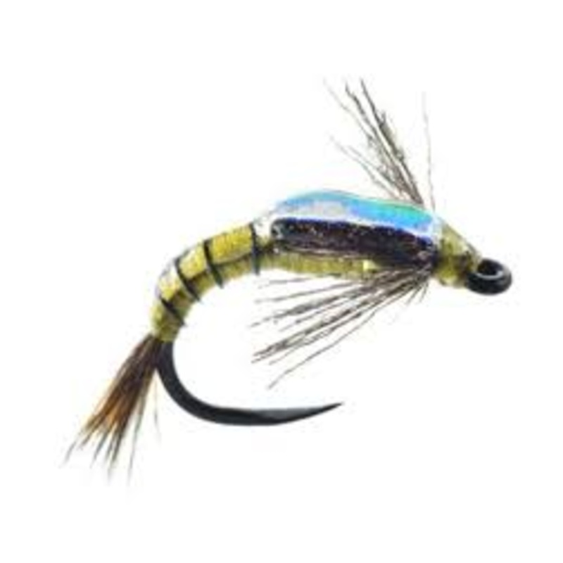 Shot Glass Baetis|Olive|Dark Brown|18