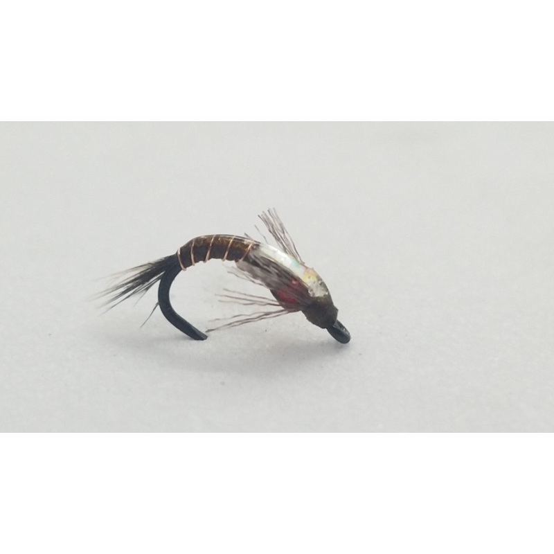 Shotglass Baetis|Olive|Dark Brown|18