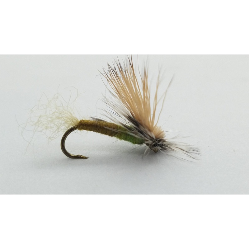 E/C Caddis Cutter|Olive|Tan|14|16