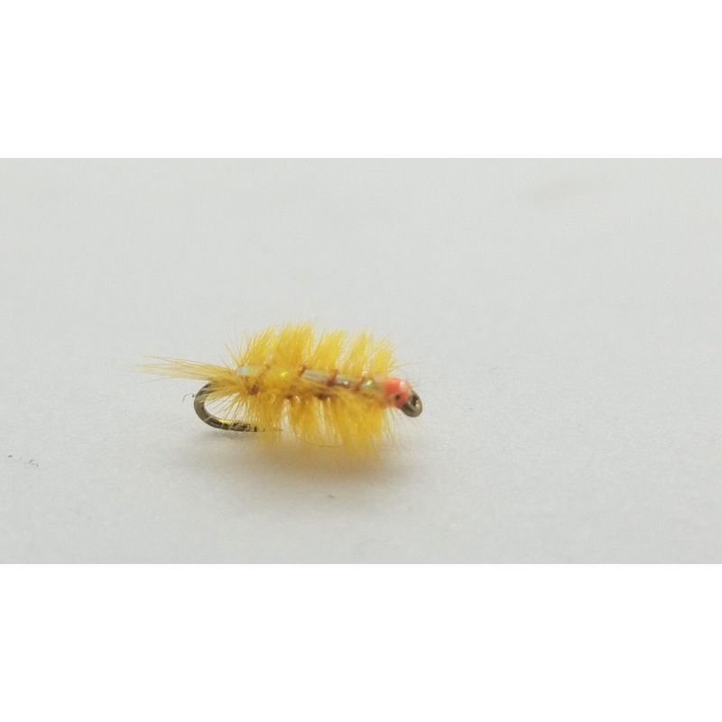 Ray Charles Sowbug|Olive|Orange|Gray|16|18
