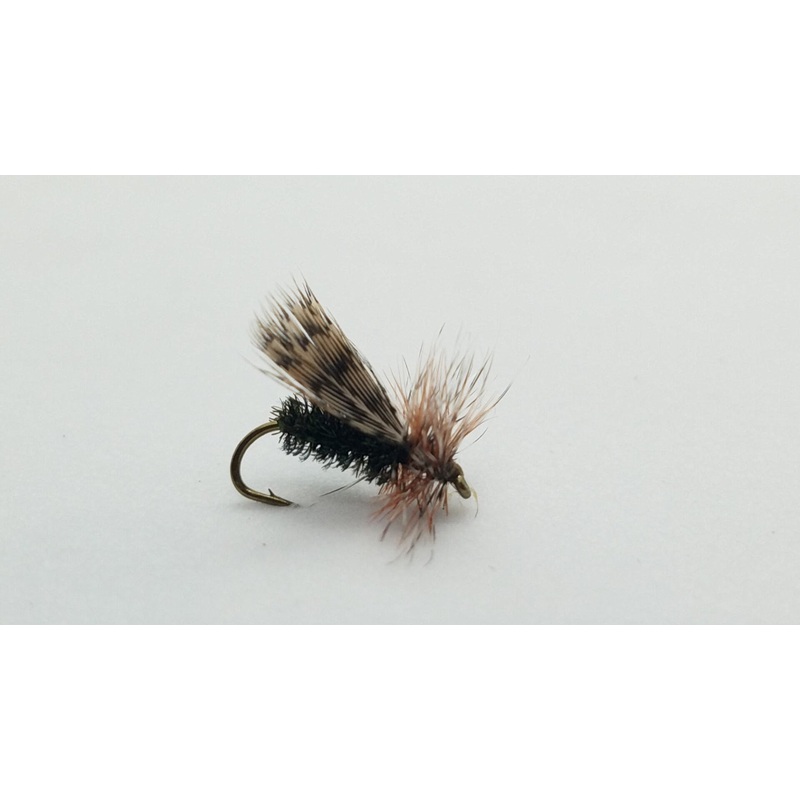 Spent Partridge Caddis, Sz 16|Olive|Tan