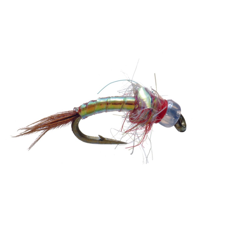 Rainbow Warrior|Red|Pearl|Black|16|18|20|22
