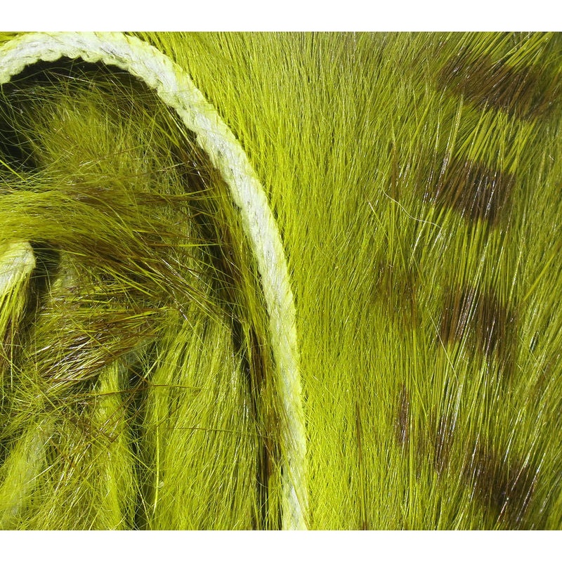 Brown Barred Rabbit Strips|263B Olive