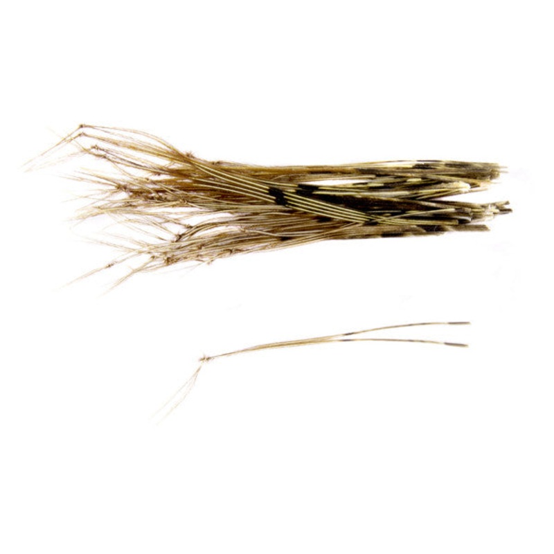 Knotted Hopper Legs||242 Natural Brown||11 Black