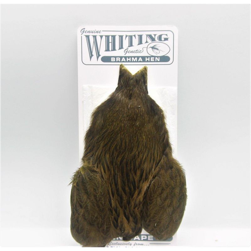 Whiting Brahma Hen Cape|Black|Natural Cream Badger|Badger Dyed March Brown|Med. Dun|Badger Dyed Olive|Badger Dyed Dark Olive|Badger Pale Yellow|Badger Dyed Golden Olive|Badger Dyed Tan|Badger dyed Natural Brown