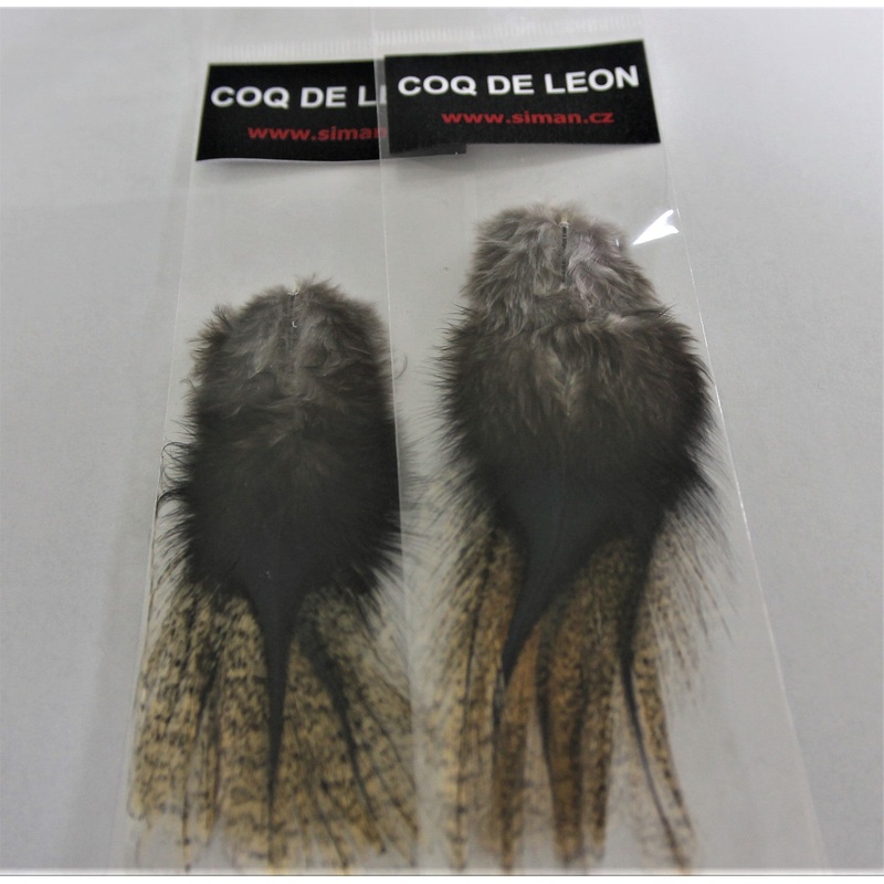 Siman Coq De Leon|Dark Cream Speckled|Honey Dun Pardo