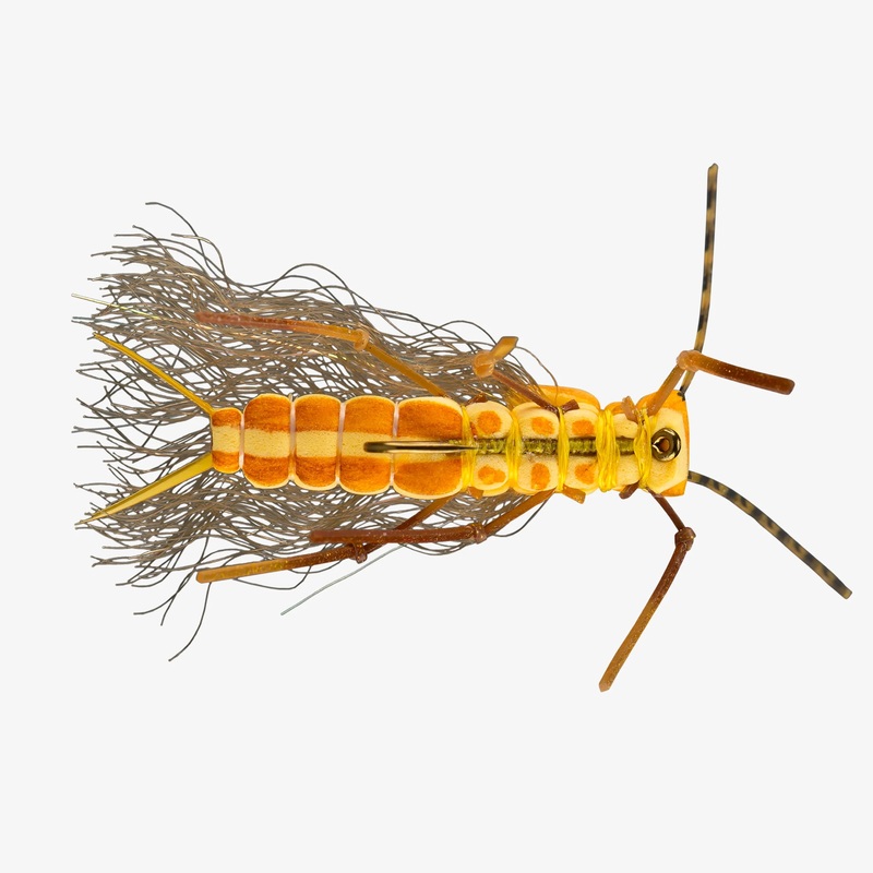 RIO’s Juicy Stone – Golden – Size 8