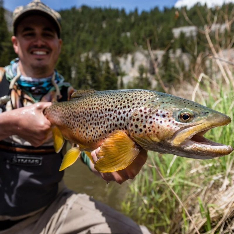 Jake Wells – Montana Dry Fly Combo