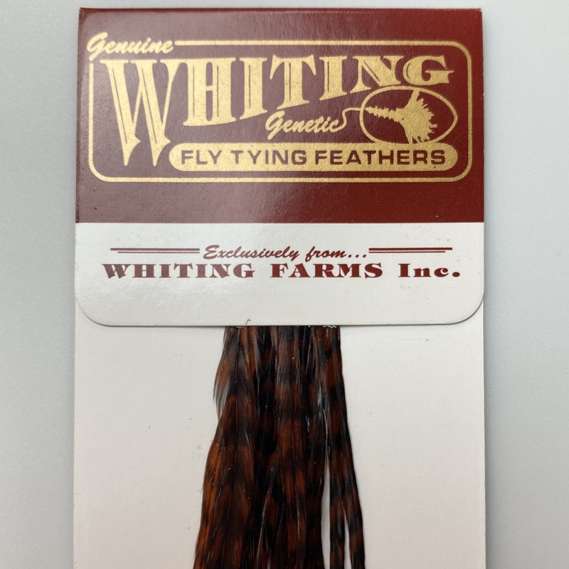Whiting 100 Pack Dry Fly Hackle  – Grizzly Dyed Coachman Brown – 20