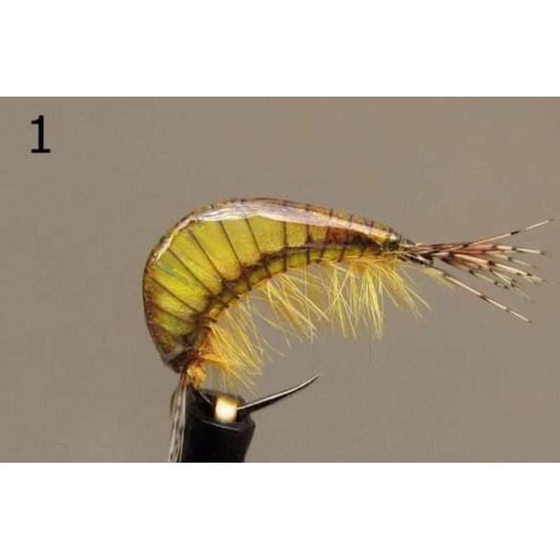 Gammarus – Gaga Flies||1||7||10||12||13||18||12||14||16||18||20