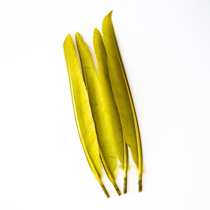 Wapsi – Duck Quill – 2 Pair|Black|Bleached|Blue|Brown|Dyed Gray|Ginger|Golden Olive|Highlander Green|Mallard Gray|Olive|Orange|Red|White|Yellow