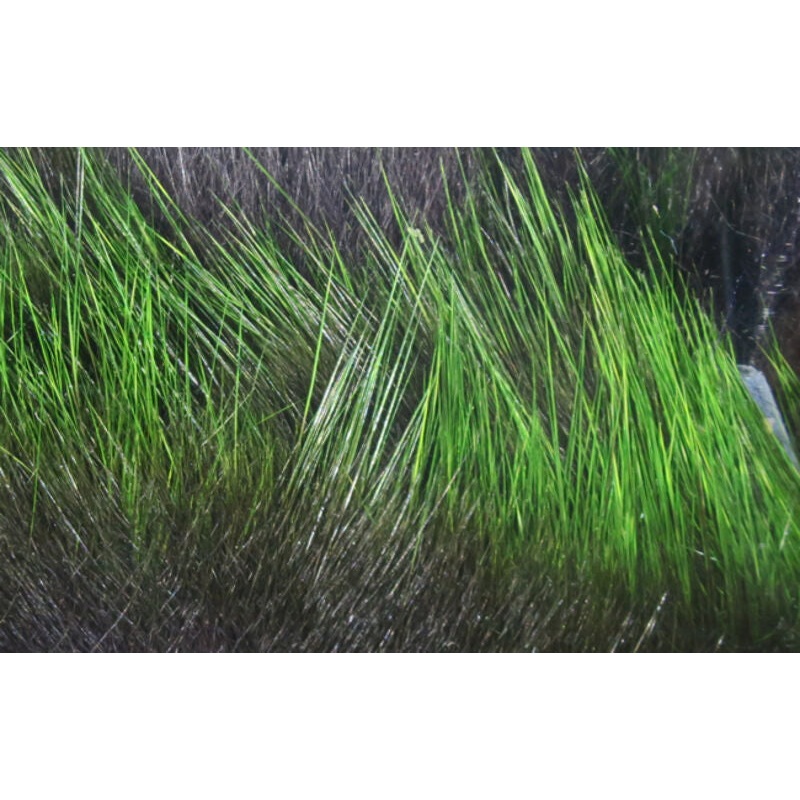 Frostip Rabbit Strips|Black/Chartreuse|Black/Fuchsia|Black/Olive|Black/Orange|Black/White