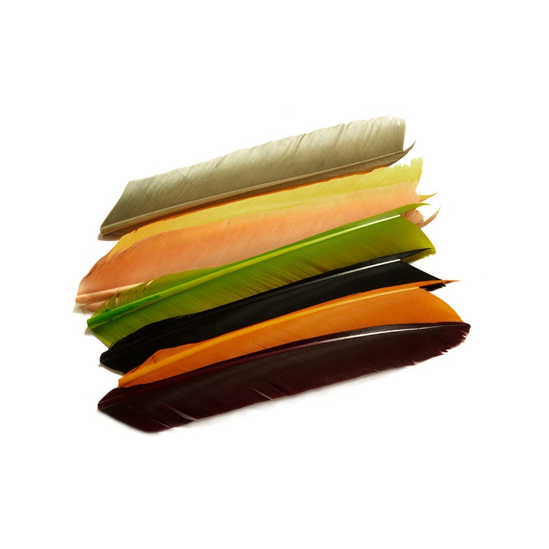 Fulling Mill Turkey Biots|Black|Blue Dun|Bright Yellow Olive|Brown Dun|Brown Olive|Cinnamon|Claret|Copper Olive|Corrib Olive|Dark Golden Olive|Fl. Lime Green|Fl. Orange|Fl. Sunburst Yellow|Ginger|Light Cahill|Light Pink|Olive Dun|Pale Morning Dun|Purple|R