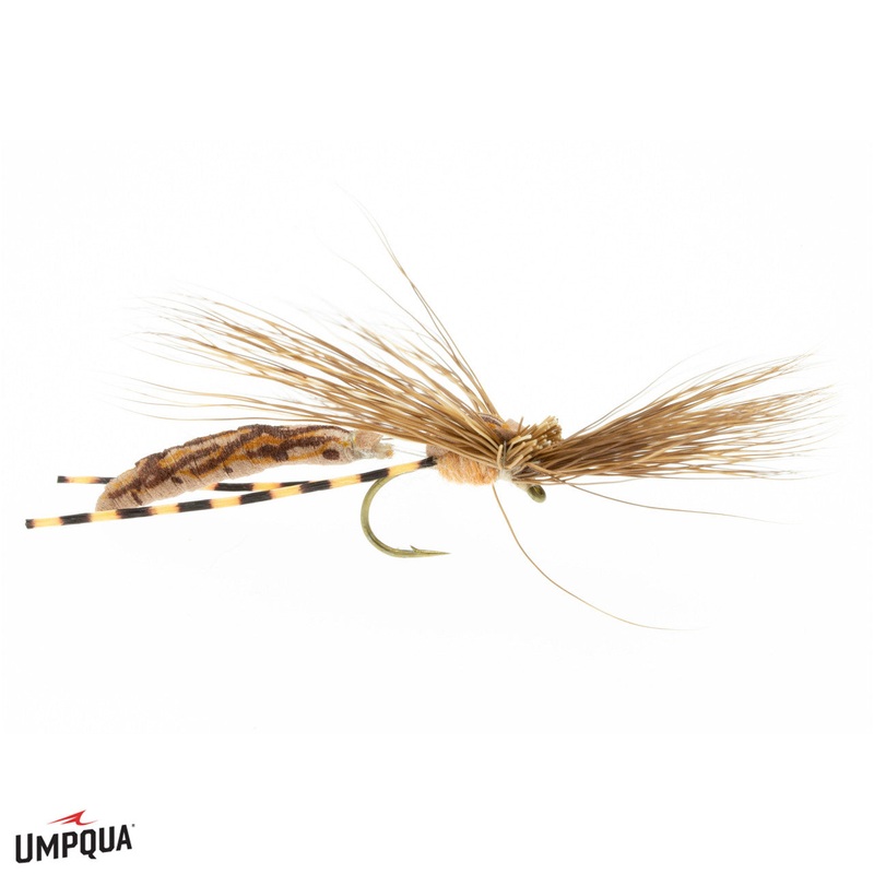 Mr. Jones – Cranefly|10|14