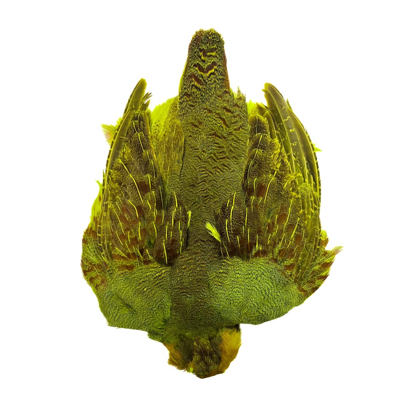 Dyed Hungarian Partridge – Full Pelt – Grade #1