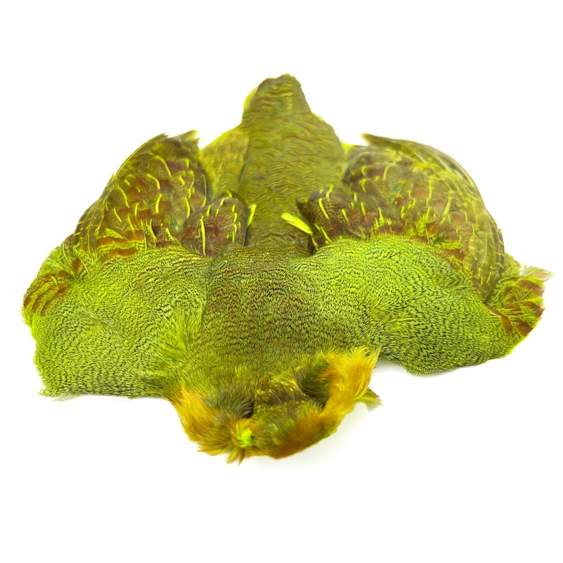 Dyed Hungarian Partridge – Full Pelt – Grade #1