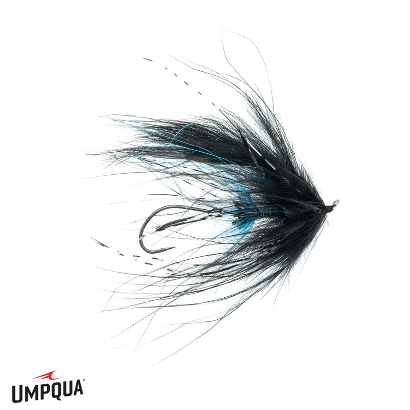 Intruder – 2|Black/Blue|Purple/Pink